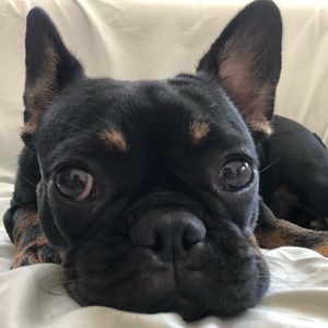 Meet your Posher, Thoai